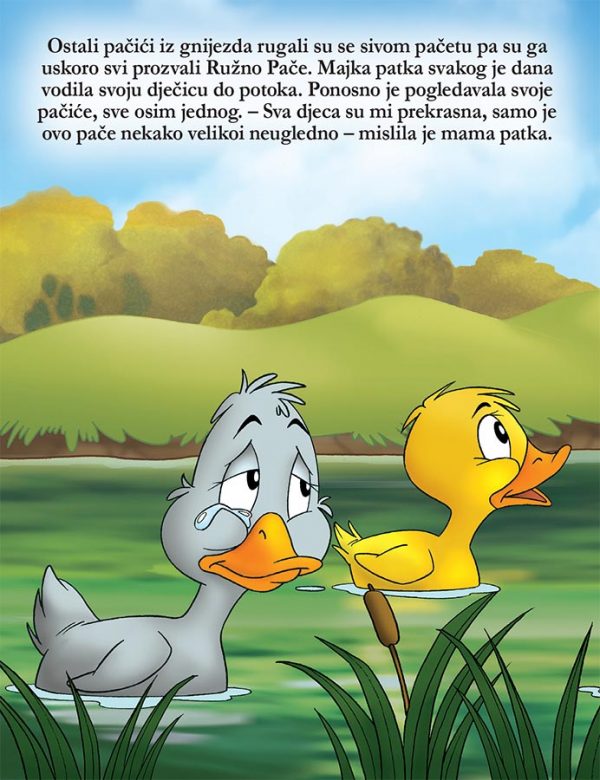 Ružno Pače - Image 4